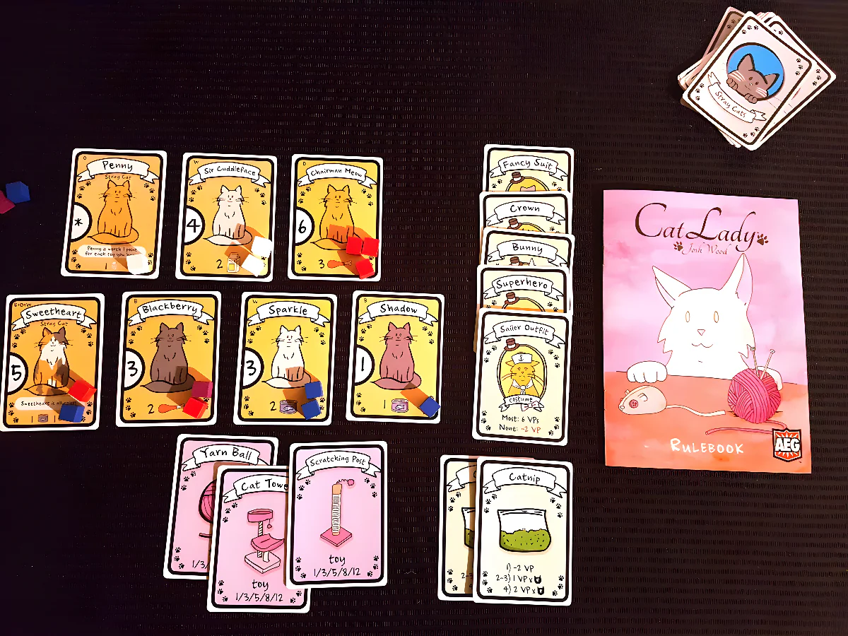 Cat Lady - Image 3