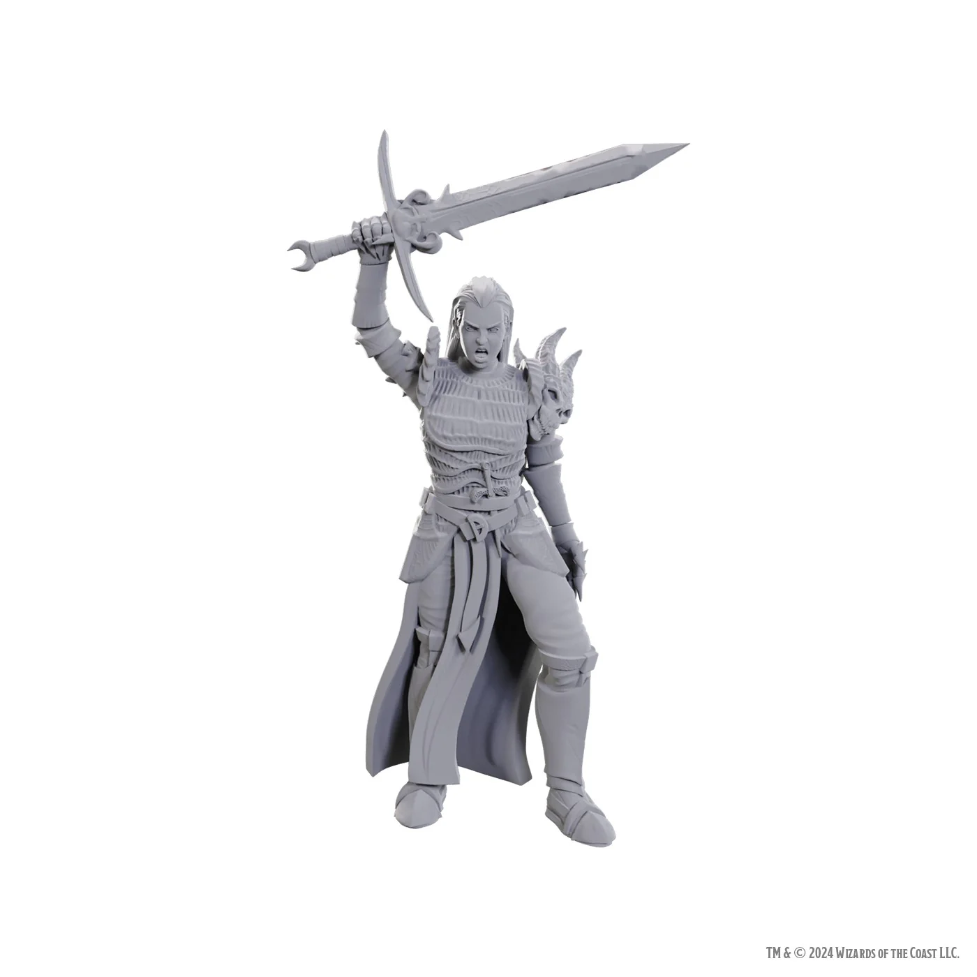 D&D Nolzur's Marvelous Miniatures - Blackguard