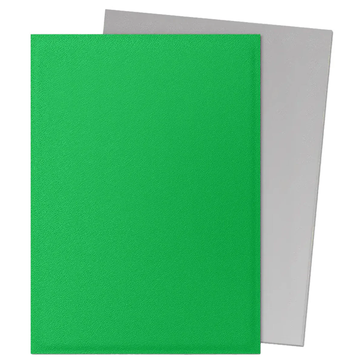 Dragon Shield: Dual Matte Sleeves - Apple Green & Silver (100ct) - Image 2