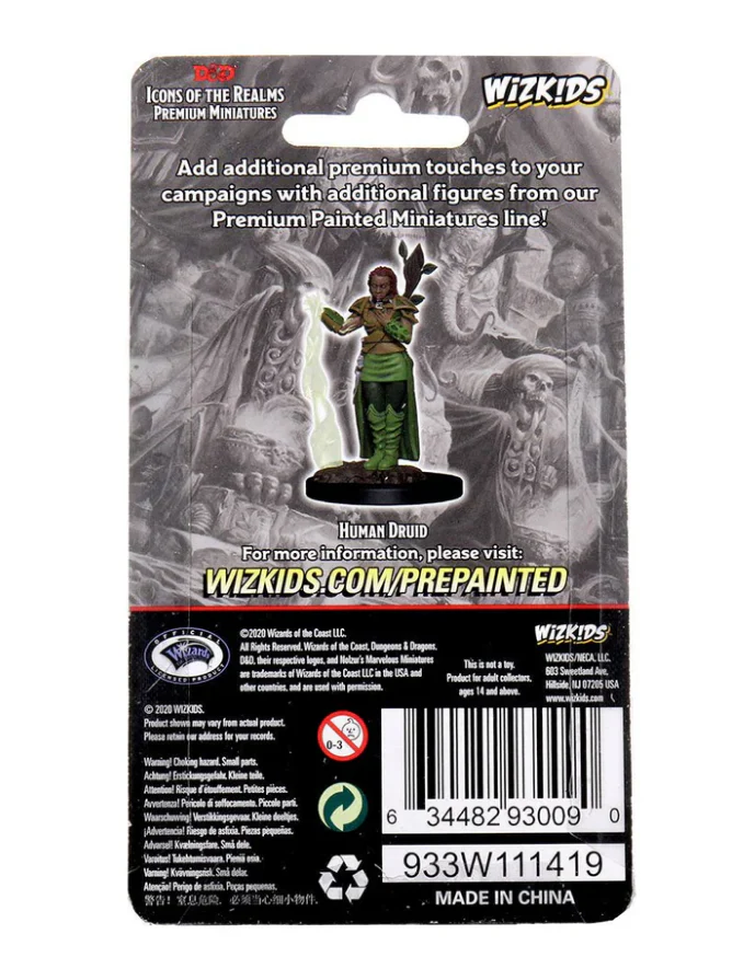 Dungeons & Dragons: Icons of the Realms Premium Figures W02 Human Female Druid - Image 2