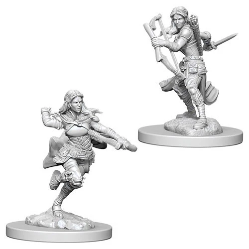 Dungeons & Dragons: Nolzur's Marvelous Unpainted Miniatures - W04 Air Genasi Female Rogue