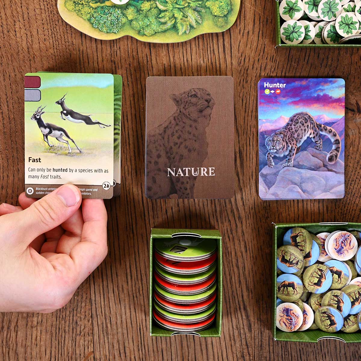 Nature - Image 6