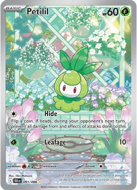 Petilil - 091/086 - 091/086 - (SV: Black Bolt)