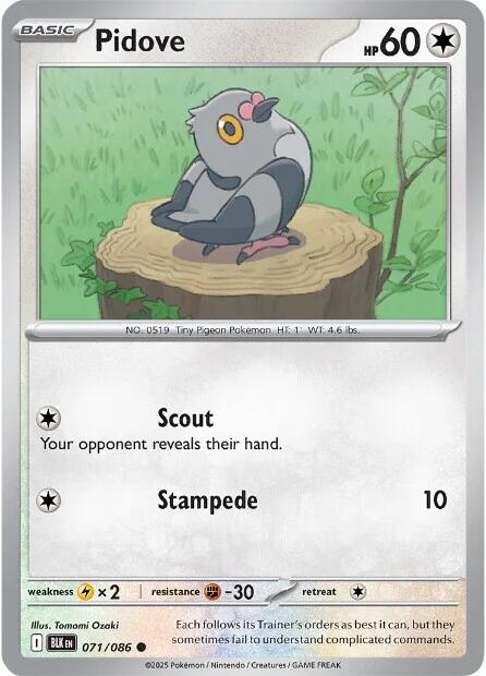 Pidove - 071/086 - (SV: Black Bolt)